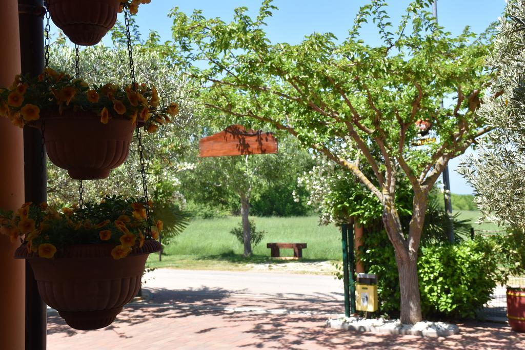 Guest House Fortuna Novigrad Istria Buitenkant foto
